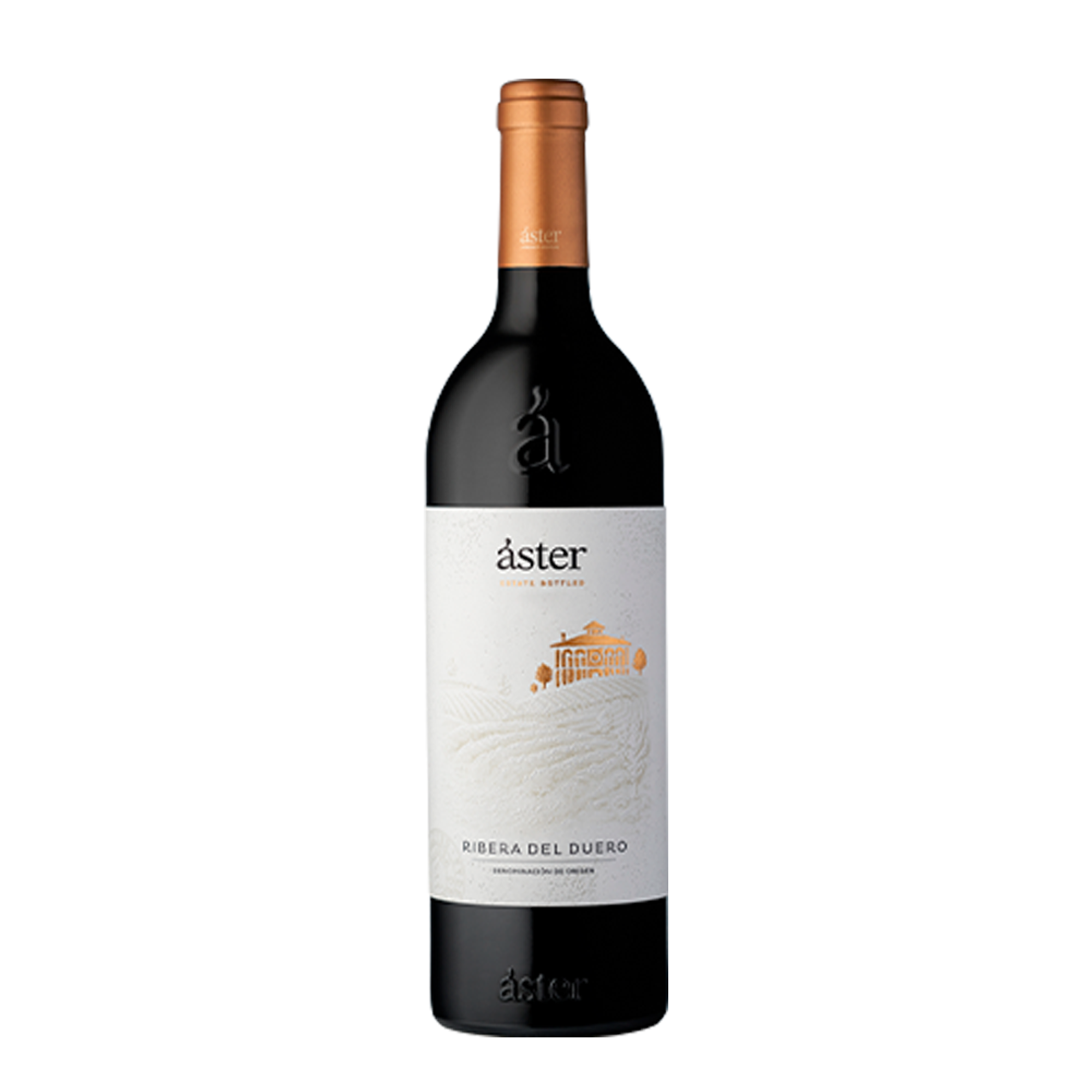 Mynd Áster Reserva